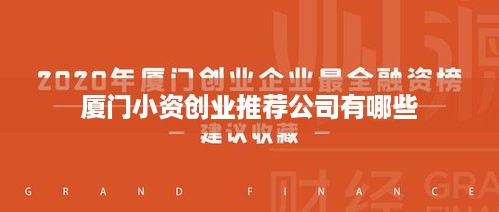 厦门小资创业推荐公司有哪些