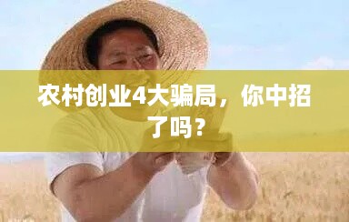 农村创业4大骗局，你中招了吗？