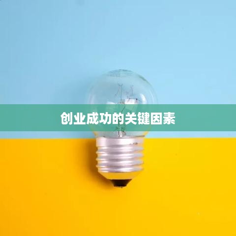  创业成功的关键因素 