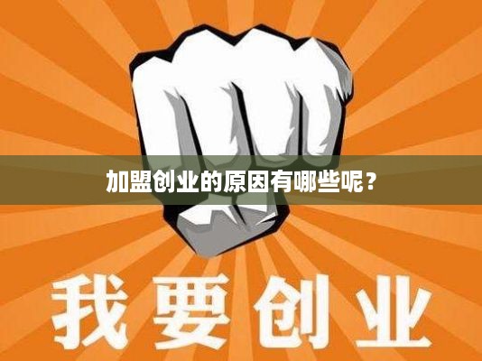 加盟创业的原因有哪些呢？