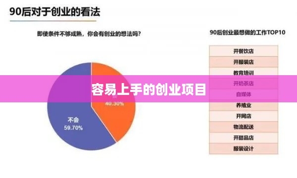 容易上手的创业项目