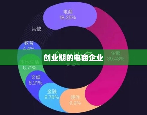 创业期的电商企业