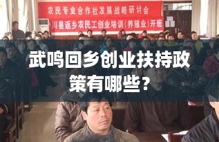 武鸣回乡创业扶持政策有哪些？