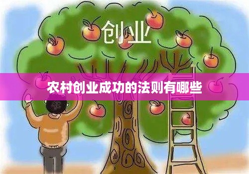 农村创业成功的法则有哪些