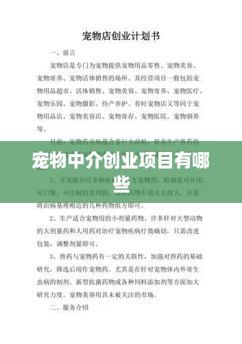 宠物中介创业项目有哪些