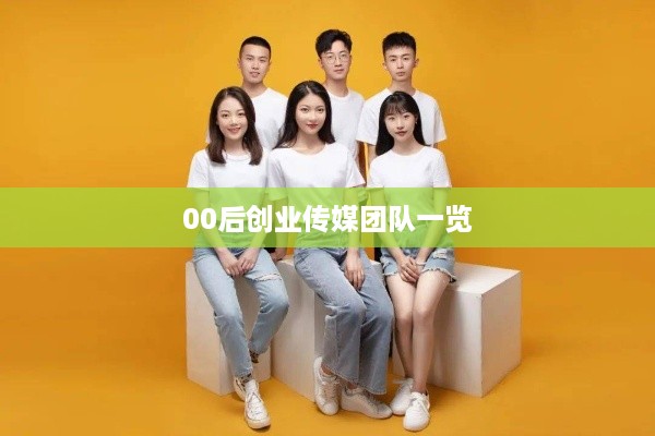 00后创业传媒团队一览