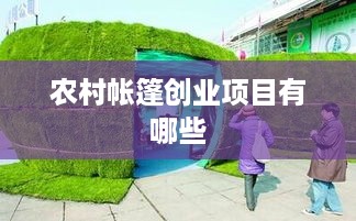 农村帐篷创业项目有哪些