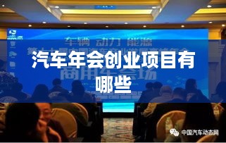 汽车年会创业项目有哪些