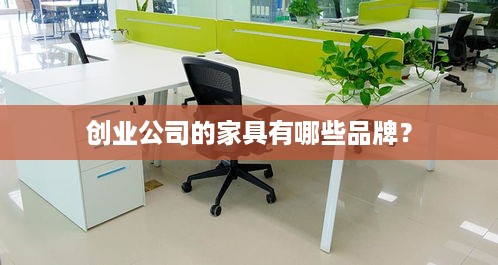 创业公司的家具有哪些品牌？