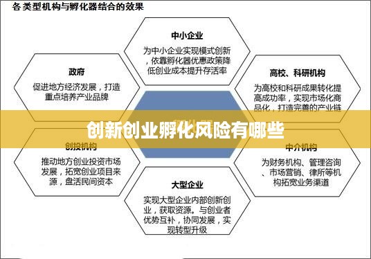 创新创业孵化风险有哪些