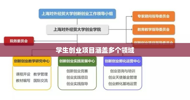 学生创业项目涵盖多个领域