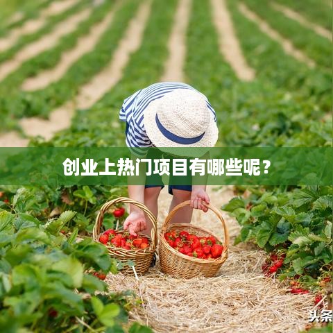 创业上热门项目有哪些呢？