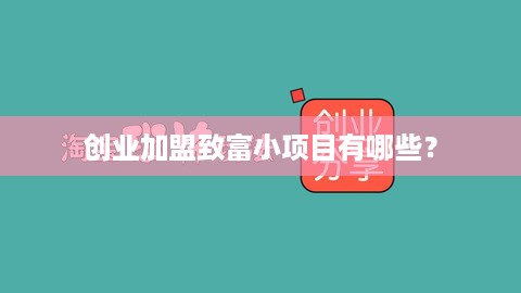 创业加盟致富小项目有哪些？