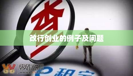 改行创业的例子及问题