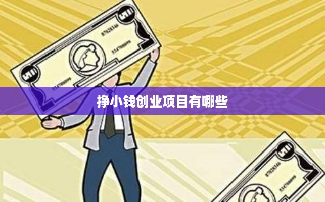 挣小钱创业项目有哪些