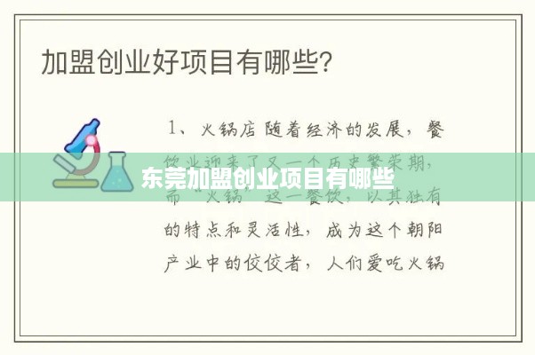 东莞加盟创业项目有哪些