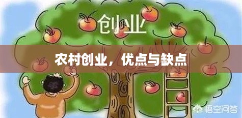 农村创业，优点与缺点