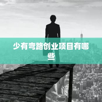 少有弯路创业项目有哪些