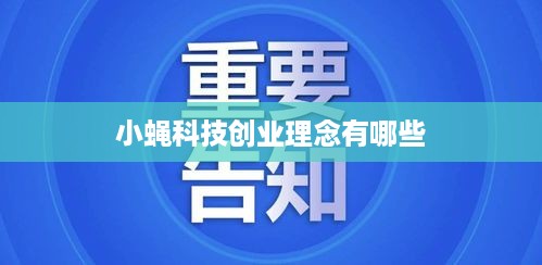 小蝇科技创业理念有哪些