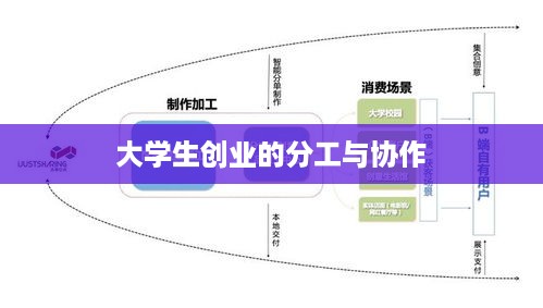 大学生创业的分工与协作