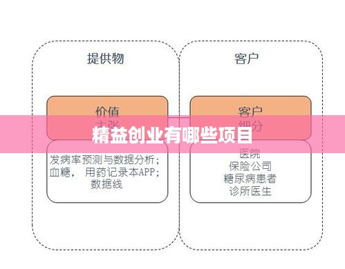 精益创业有哪些项目