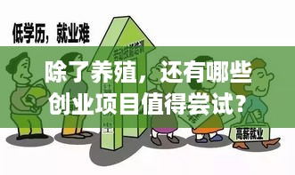 除了养殖，还有哪些创业项目值得尝试？