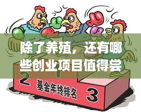 除了养殖，还有哪些创业项目值得尝试？