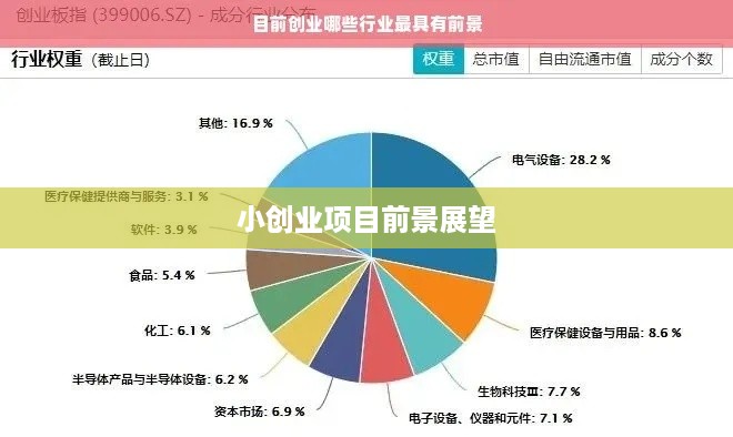 小创业项目前景展望