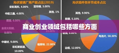 商业创业领域包括哪些方面