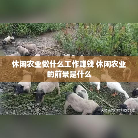 休闲农业做什么工作赚钱 休闲农业的前景是什么