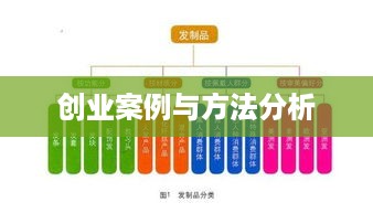 创业案例与方法分析