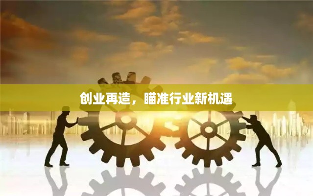 创业再造，瞄准行业新机遇