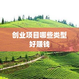 创业项目哪些类型好赚钱