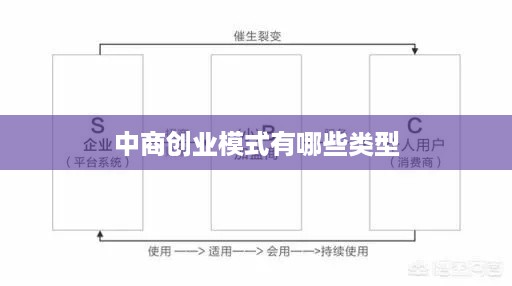 中商创业模式有哪些类型