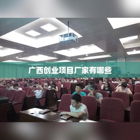 广西创业项目厂家有哪些