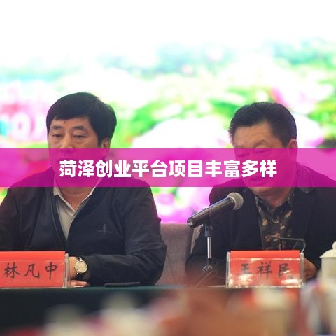 菏泽创业平台项目丰富多样