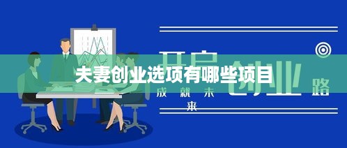 夫妻创业选项有哪些项目