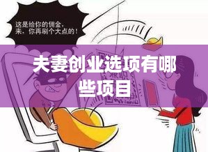 夫妻创业选项有哪些项目