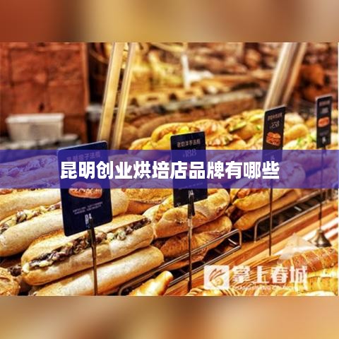 昆明创业烘培店品牌有哪些