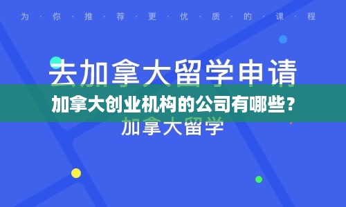 加拿大创业机构的公司有哪些？