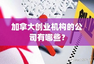 加拿大创业机构的公司有哪些？