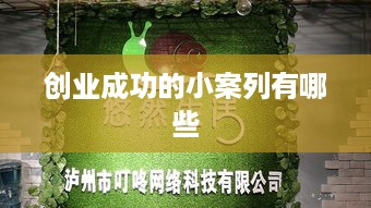 创业成功的小案列有哪些