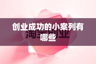 创业成功的小案列有哪些