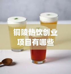 铜陵热饮创业项目有哪些