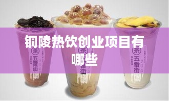 铜陵热饮创业项目有哪些