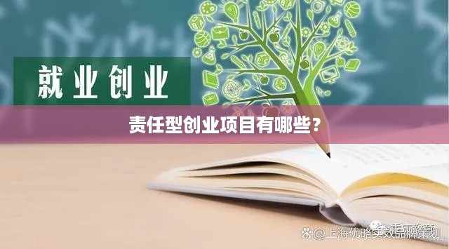 责任型创业项目有哪些？