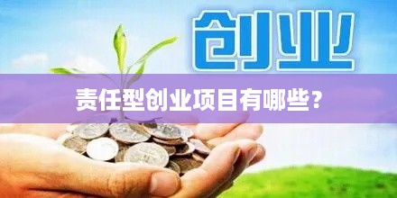 责任型创业项目有哪些？