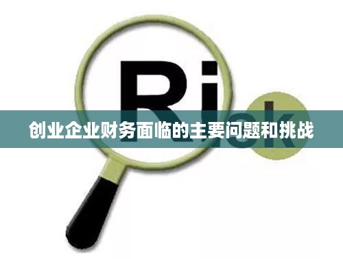 创业企业财务面临的主要问题和挑战