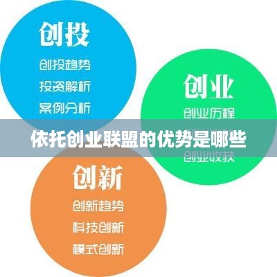 依托创业联盟的优势是哪些