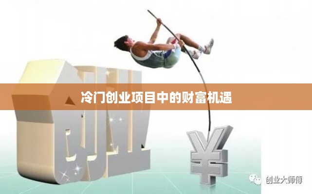 冷门创业项目中的财富机遇